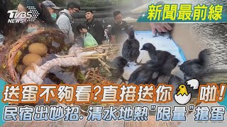 蛋不夠看?直接送你雞啦!民宿出妙招.清水地熱「限量」搶蛋｜TVBS新聞@TVBSNEWS01