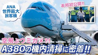 【本邦初公開!!】A380の機内清掃に密着!!アメニティのパッキングも!?【成田空港・FLYING HONU】