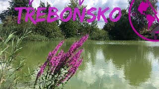 KAM NA VÝLET V ČESKU - Třeboňsko