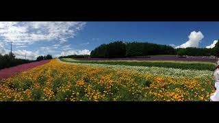 🇯🇵일본 북해도 / Hokkaido, Japan / 北海道