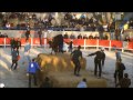 encierro caissargues 15 01 2012