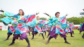 [4K] 天狗ぅ　豊川おいでん祭り 2018 野球場メイン会場