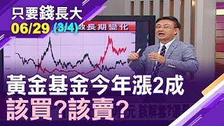 【原物料飆漲 投資風向改變?黃金基金今年漲2成!現階段該買?該賣?】20190629(第3/4段)只要  錢長大*鄭明娟(朱岳中)