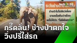 กรี๊ดลั่น! ช้างป่าตกใจรถวิ่งเข้าใส่ | 14 ธ.ค. 67 | ข่าวเที่ยงไทยรัฐ