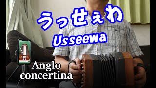 USSEEWA 40-button Anglo concertina cover Ado「うっせぇわ」 コンサーティーナ カバー