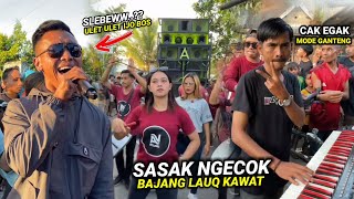 2 TEMBANG SASAK POPULER YANG WAJIB DI REQUEST || LAGU SASAK NGECOK & BAJANG LAUK KAWAT @AldevaMusik