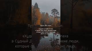 «И напоминай, ибо напоминание приносит пользу верующим».