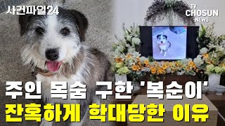 '복순이' 학대한 범인 잡혔다 / TV CHOSUN 사건파일24