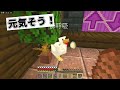 【39】トロッコレールで鉄道開通！各種レールの使い方も解説！【初心者向けのマインクラフト】