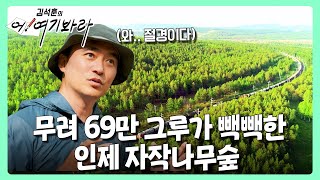 올 가을 여행지 정했다🍂 4계절이 아름다운 인제 자작나무숲 🌲 | 김석훈의 어! 여기봐라