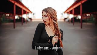 Ladynsax  - Ameno