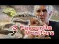 3 FAVOURITE MONITOR LIZARDS - CrittaCam