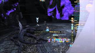 ff14 邪竜血戦 ドラゴンズエアリー 白視点