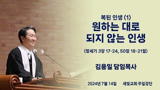 [새빛교회 주일강단] 복된 인생 (1) 원하는 대로 되지 않는 인생 │ 창세기 3장 17-24, 50장 18-21절 │ 김용일 담임목사 │ 2024년 7월 14일