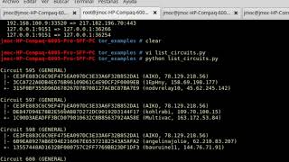 Get information about Tor network with python stem