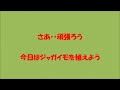 ひよどりを眺めながら昼食