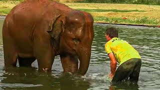 This Baby Elephant Thought Her Best Buddy Was Drowning, So She Rushed Into The River To Save Him