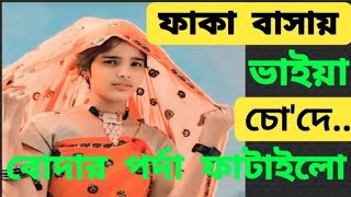 বাংলা  ছুটি  গল্প  ভাই বোনের গল্প