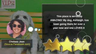 V.I. Pet Resort, Pet Boarding Orlando - REVIEWS - Orlando FL