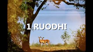 1 Ruodhi (1 King) Luo | Good News | Audio Bible