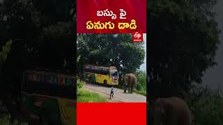 బస్సు పై ఏనుగు దాడి.. |  Elephant Attack on Bus | Animal Attack | Elephant Viral Video