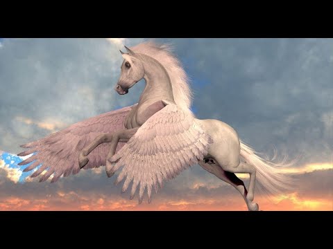 Pegasus Youtube