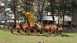 波桜　四日市よさこい祭り2024 市営駐車場前会場-1