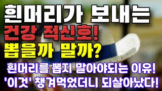 흰머리가 보내는 건강 적신호! 뽑을까 말까? 흰머리를 봅지 말아야 되는 이유! 이것 챙겨먹었더니 되살아 났다!