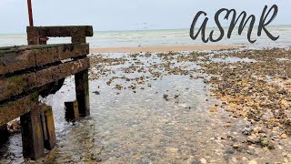 ASMR Guided Meditation ~ Relaxing Beach Walk 🌊