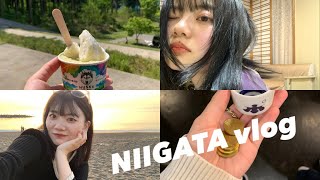 【vlog】新潟家族旅行〜🚗💨　#vlog #新潟