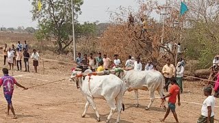 గోకవరం నాలుగుపల్లు 4వ జత