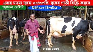 ৩০/৩৫ লিটার দুধের গাভী আর বকনা বিক্রি হবে | Zaker Dairy | Bayezid Moral | cow sale