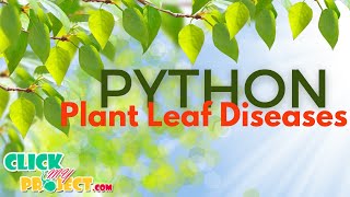 Python Image Processing Project - Plant Leaf Diseases - ClickMyProject