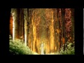 Sunshine Meadow  (feat.Sarah Winton) - Michael E