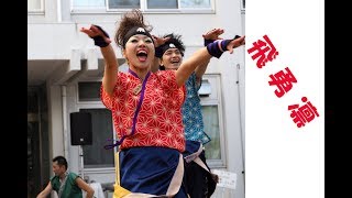 飛勇凛 ヤートセ秋田祭 in 秋大祭2017