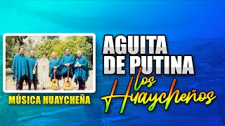 Los Huaycheños  AGUITA DE PUTINA (AUDIO OFICIAL)