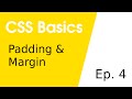 Padding & Margin • CSS Basics 4