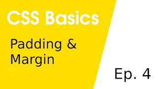 Padding & Margin • CSS Basics 4