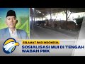 Fatwa MUI soal Hewan Kurban di Tengah Wabah PMK