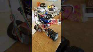 Self Balancing Robot - Tuned PID