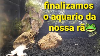 MOTANDO O AQUÁRIO DA NOSSA RÃ ALBINA      [ XENOPUS ]