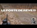 CHASSE EN BATTUE !!! DES SCÈNES INSOLITES AVEC DES SANGLIERS DE PARTOUT.