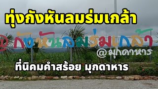 ทุ่งกังหันลมร่มเกล้า นิคมคำสร้อย มุกดาหาร