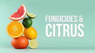 EWG Explains: Fungicides and Citrus