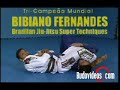 bibiano fernandes