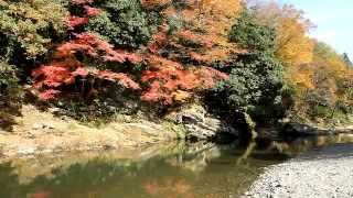 埼玉県　嵐山渓谷の紅葉