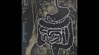 Understanding Gut Health - Radio Show Archive