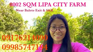 Vlog552: 8002 SQM FARM NEAR BALETE EXIT AND  S\u0026R FOR SALE IN LIPA CITY BATANGAS PHILIPPINES | SOLD