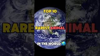 Top 10 Rarest Animals In World 🌎 #shorts