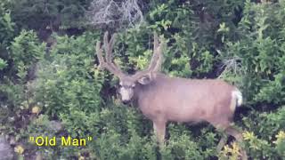 Backcountry Bucks - 2020